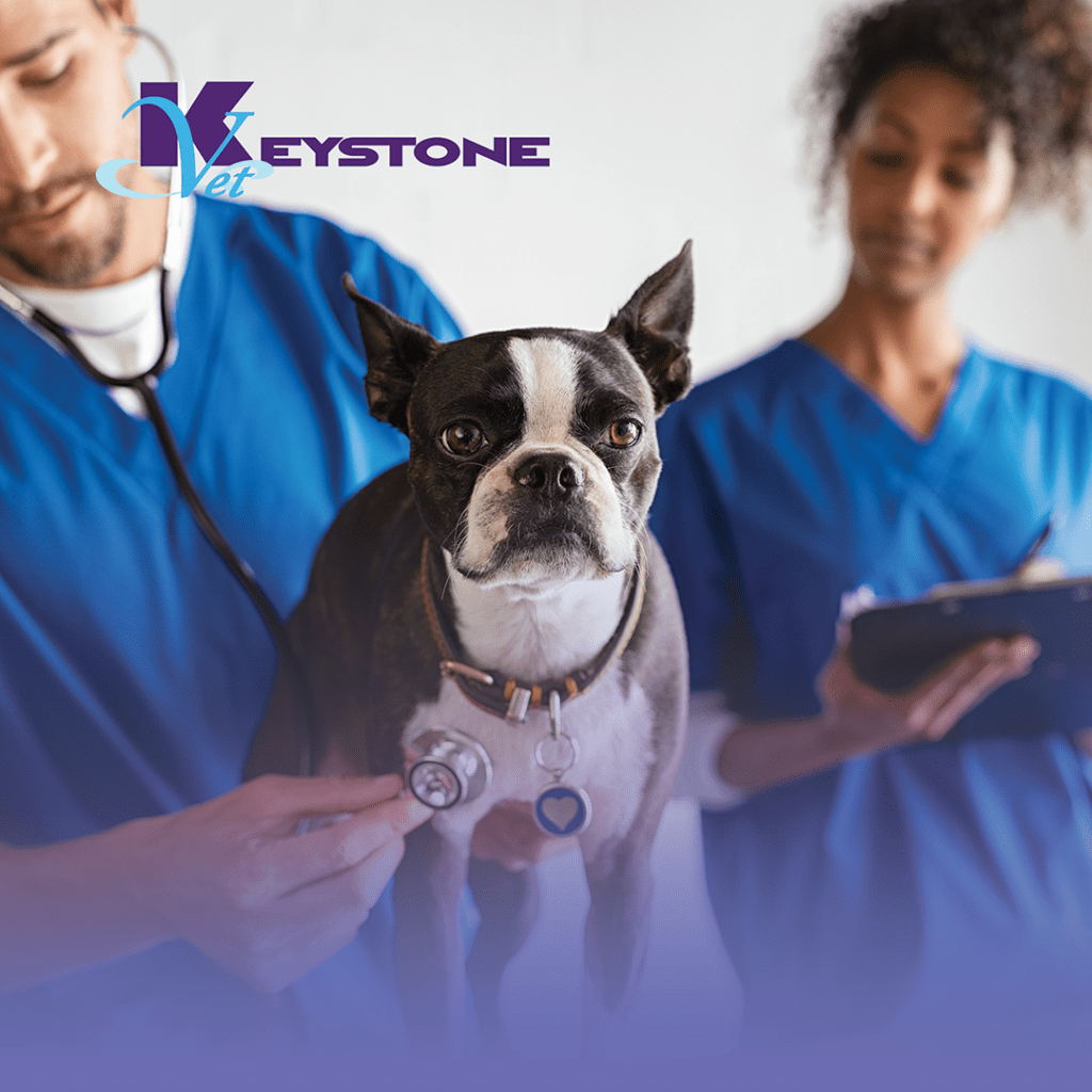 VETERINARY BRANCH
